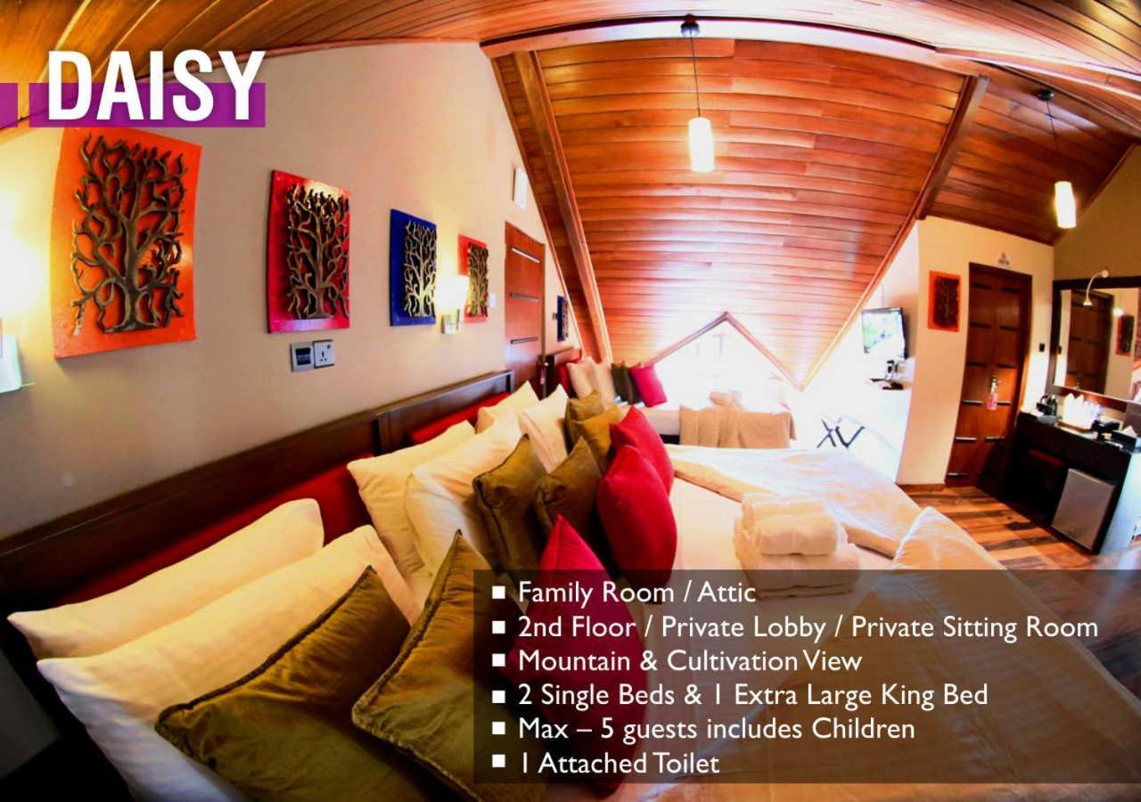 Glory Bush Boutique Villa 누와라 엘리야 외부 사진