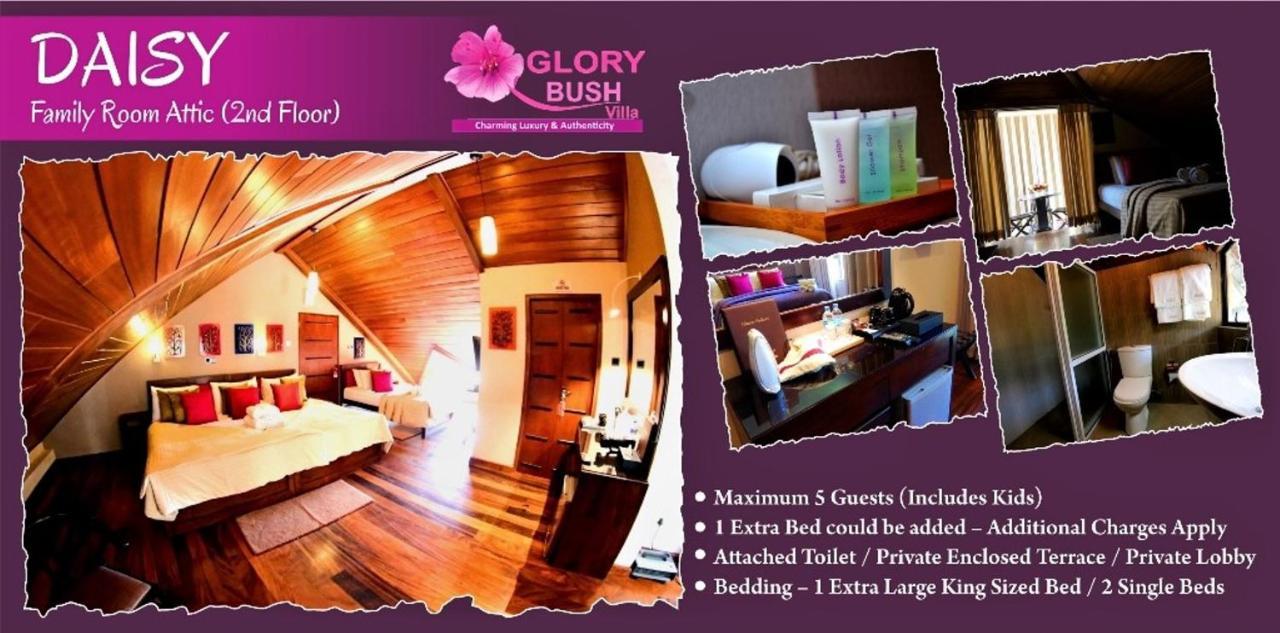 Glory Bush Boutique Villa 누와라 엘리야 외부 사진