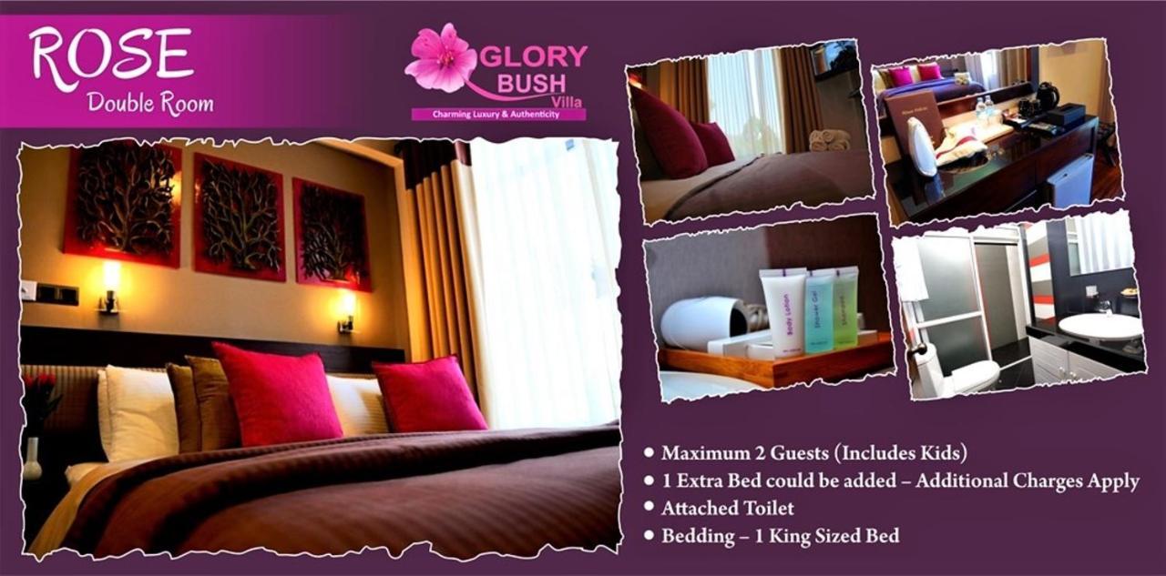 Glory Bush Boutique Villa 누와라 엘리야 외부 사진
