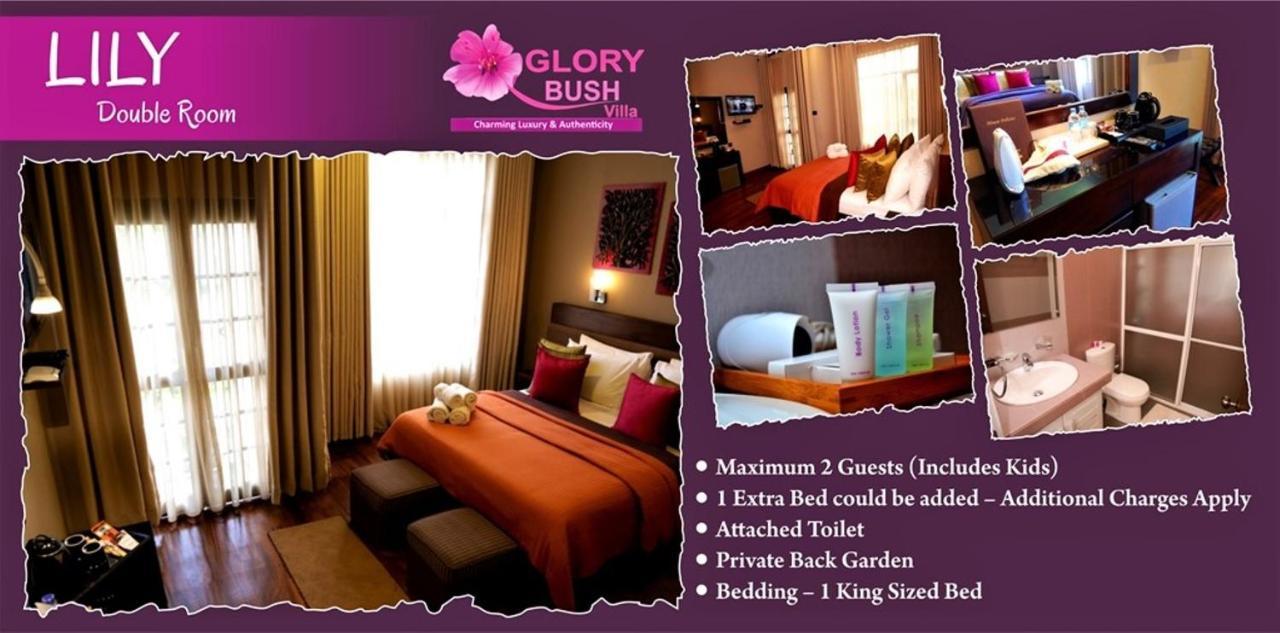 Glory Bush Boutique Villa 누와라 엘리야 외부 사진